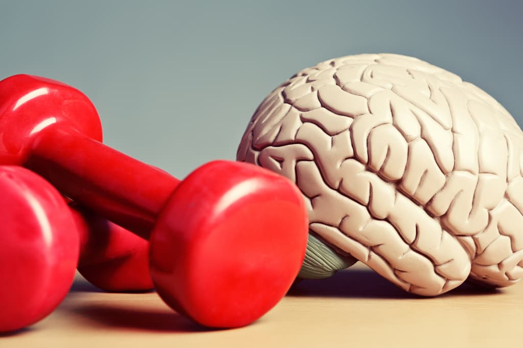 Entrenamiento y Cerebro en KRD KINESIS